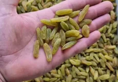 کشمش سبز قلمی کاشمر