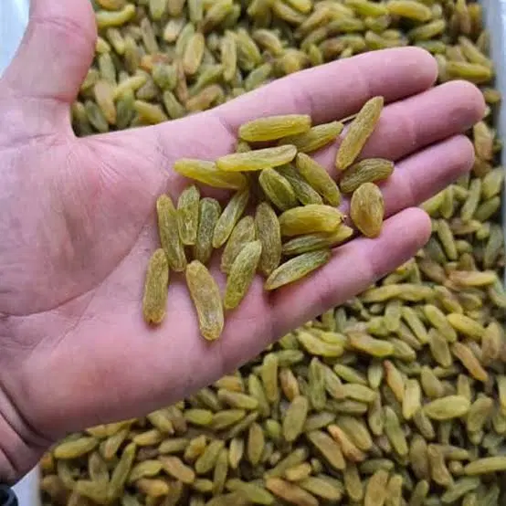 کشمش سبز قلمی کاشمر