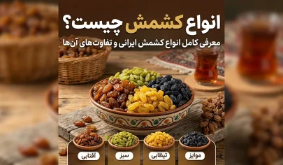 انواع کشمش ایرانی شامل کشمش سبز آفتابی طلایی و مویز