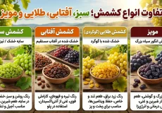 تفاوت کشمش سبز آفتابی طلایی و مویز