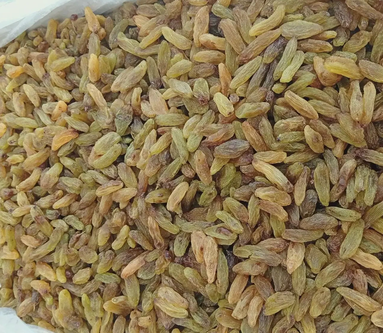 کشمش سبز قلمی کاشمربازار